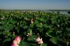 nature010-1.jpg