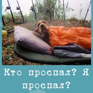 Кто проспал? Я проспал?