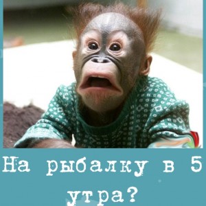 На рыбалку в 5 утра?