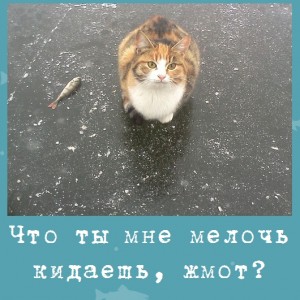 Что ты мне мелочь кидаешь, жмот?