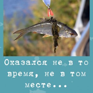 Оказался не в то время, не в том месте...