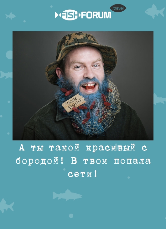 Борода попала в сети. А ты такой красивый с бородой в твои попала сети. Люблю твою бороду. А ты такой красивый с бородой картинки. Слова парень с бородой.