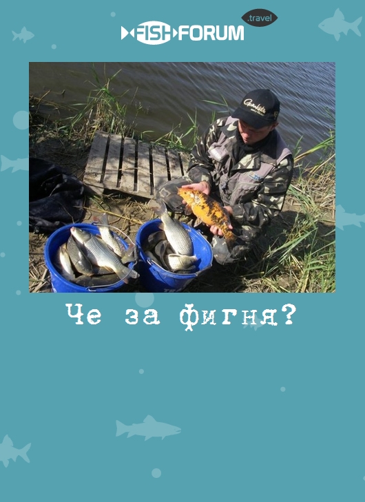 Чё за фигня?