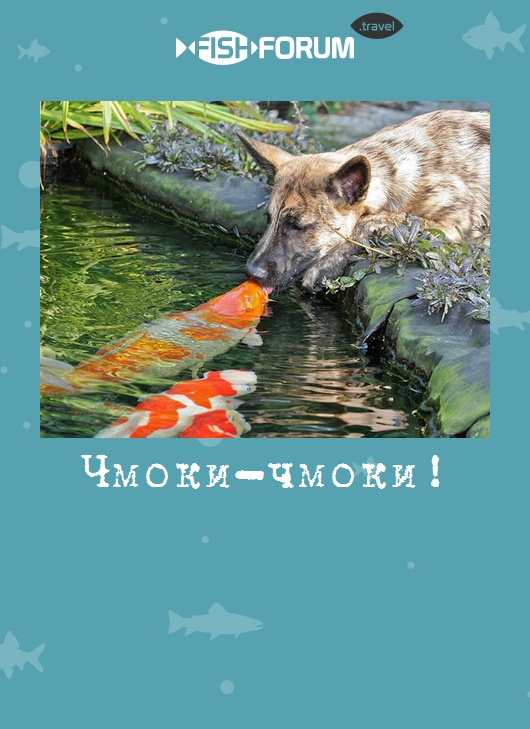 Чмоки-чмоки!