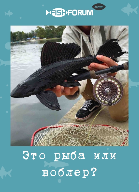 Это рыба или воблер?