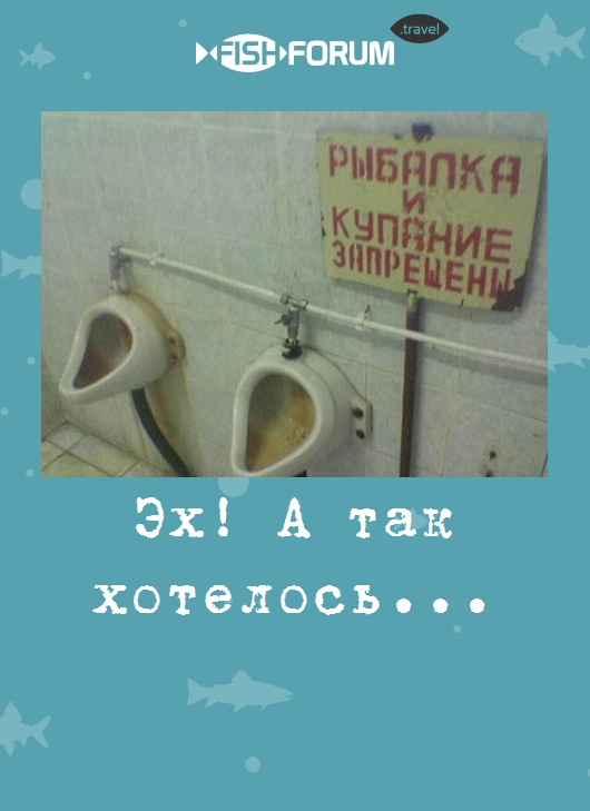 Эх! А так хотелось...