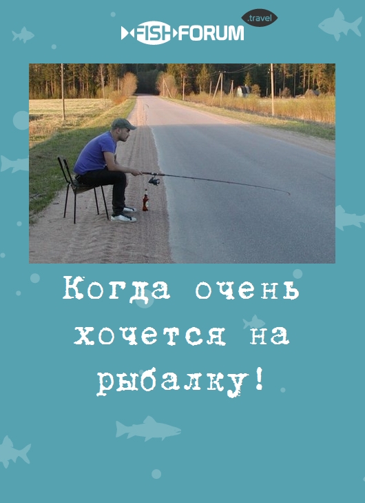 Когда очень хочется на рыбалку!