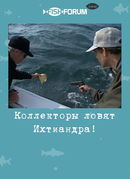 Коллекторы ловят Ихтиандра!
