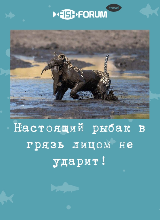 Настоящий рыбак в грязь лицом не ударит!