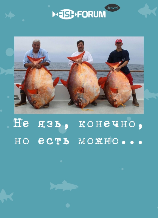 Не язь, конечно, но есть можно...