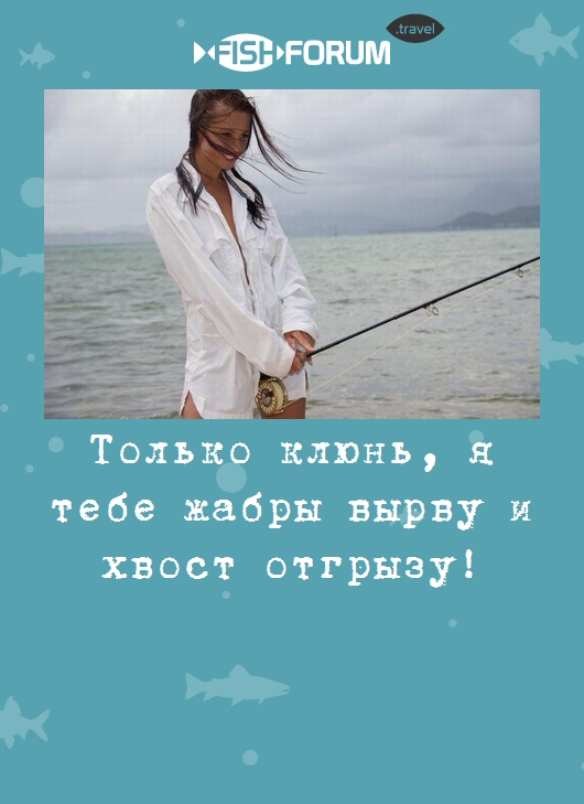 Только клюнь, я тебе жабры вырву и хвост отгрызу!