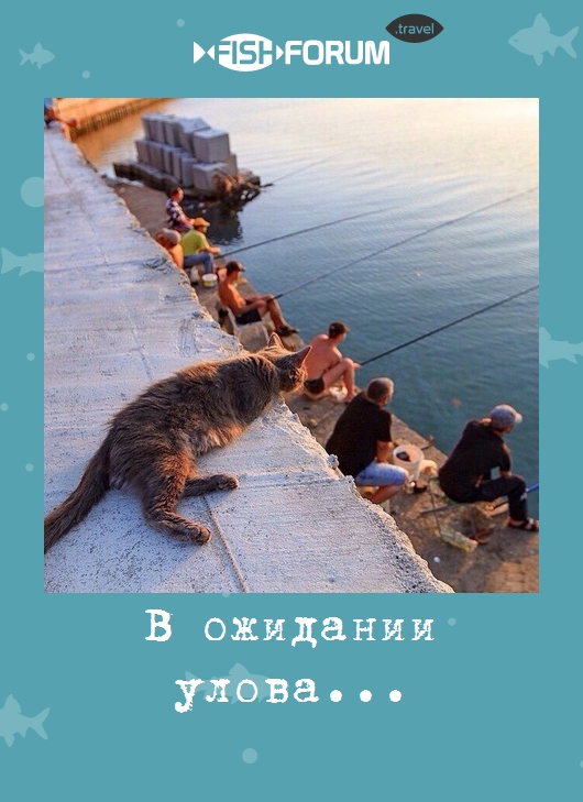 В ожидании улова...