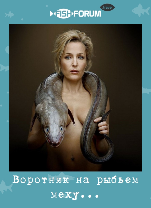 Воротник на рыбьем меху...