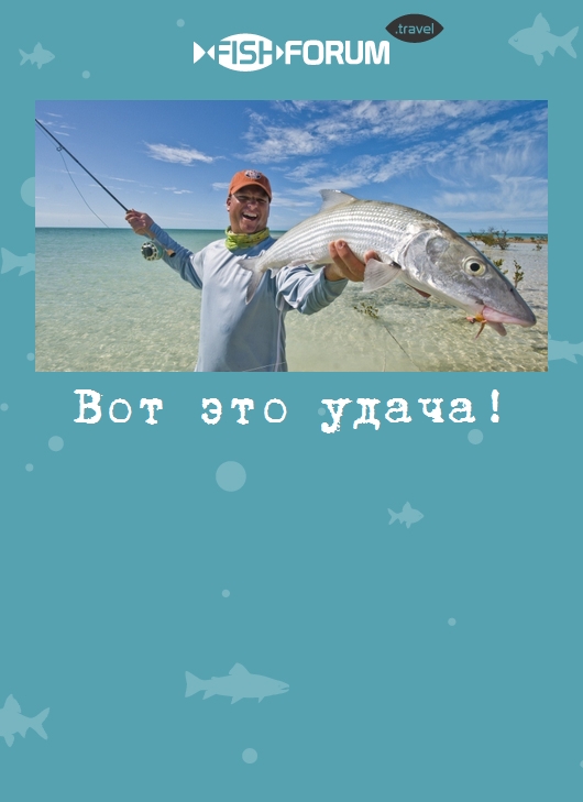 Вот это удача!