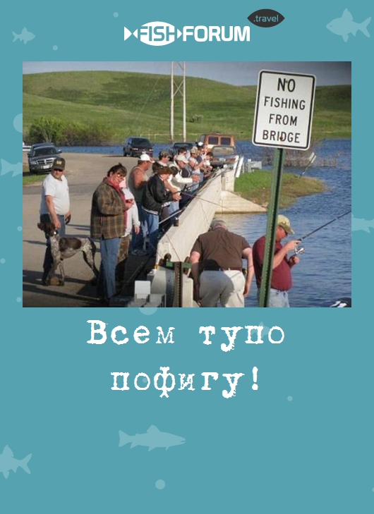 Всем тупо пофигу!