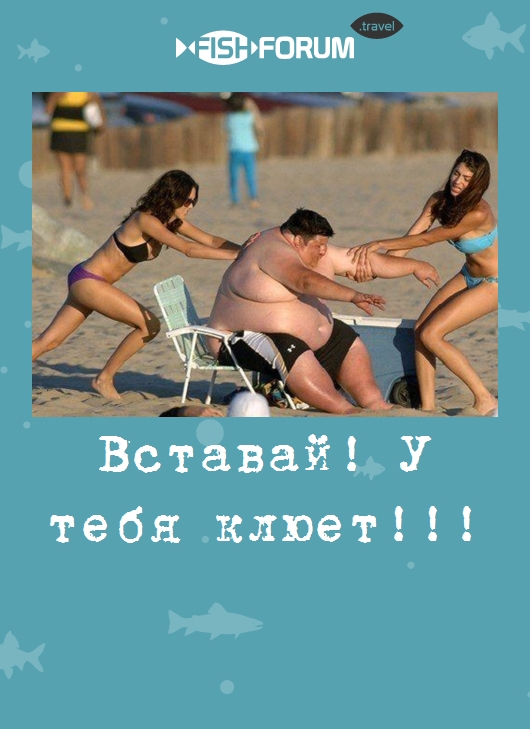 Вставай! У тебя клюет!!!