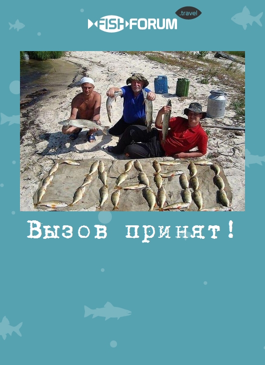 Вызов принят!