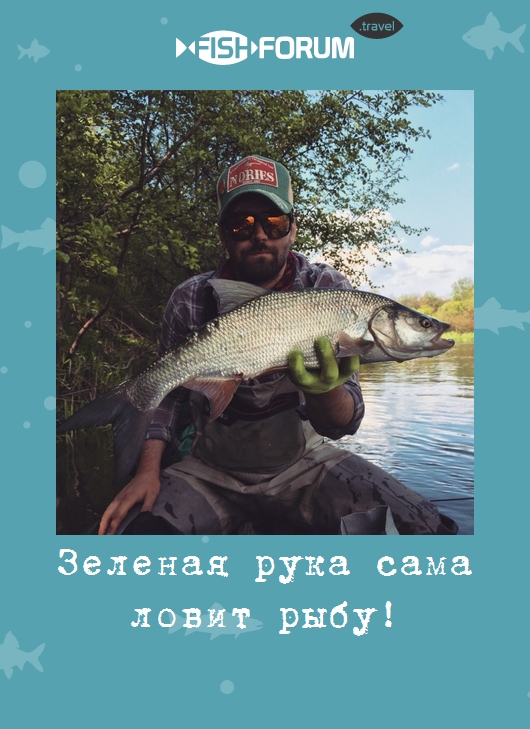 Зеленая рука сама ловит рыбу!